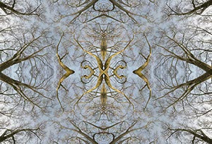 %_tempFileNameBAUMKRONEN%202%