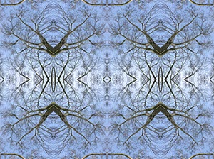 %_tempFileNameBAUMKRONEN%203%