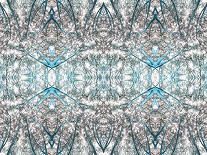 %_tempFileNameBAUMKRONEN%20GRAFISCH%