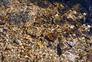 %_tempFileNameBachbett%202%