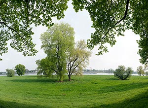 %_tempFileNameBaumgiganten%202%