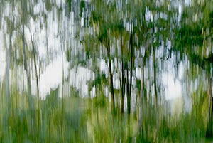 %_tempFileNameBeweger%20Wald%20Essmecke%2011%