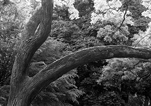 %_tempFileNameBildc8_sA_%20202%