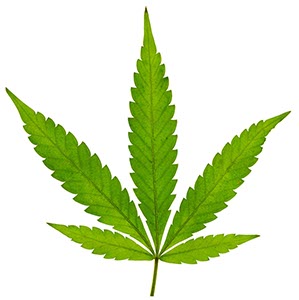 %_tempFileNameBlatt%2026%