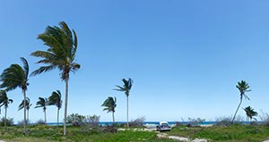 %_tempFileNameCUBA_Strand_mit_Auto%