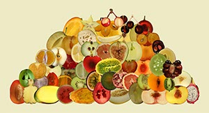 %_tempFileNameCollection_49%