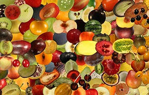 %_tempFileNameCollection_52%