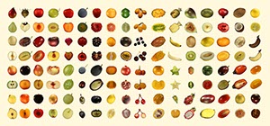 %_tempFileNameCollection_53%