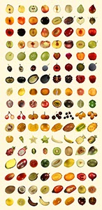 %_tempFileNameCollection_54%