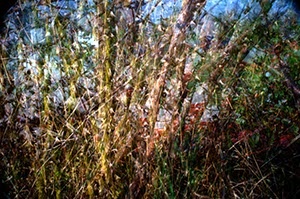 %_tempFileNameDSC05225%