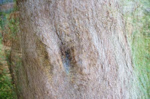 %_tempFileNameDSC07107%