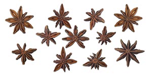 %_tempFileNameDSC_6098%