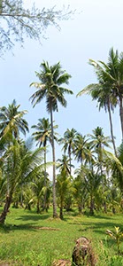 %_tempFileNameDSC_8229%20Panorama%