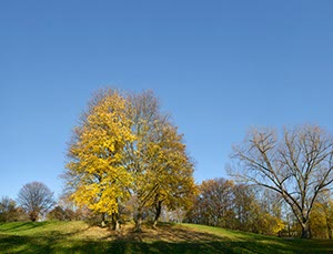 %_tempFileNameEWE4886%20Panorama%