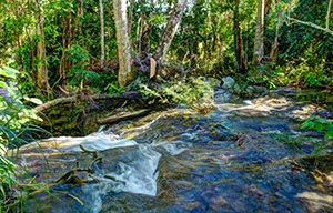 %_tempFileNameEl_Nicho2_FU%