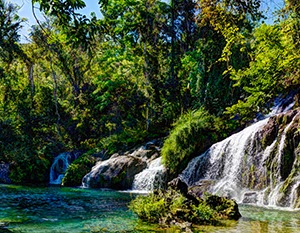 %_tempFileNameEl_Nicho3_FU%