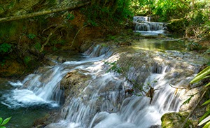 %_tempFileNameEl_Nicho8%