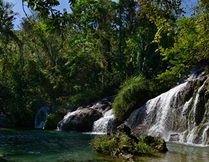 %_tempFileNameEl_Nicho_2%