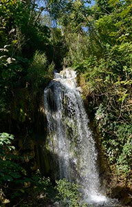 %_tempFileNameEl_Nicho_5%