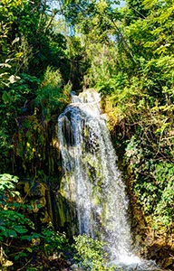 %_tempFileNameEl_Nicho_6%