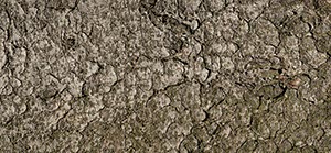 %_tempFileNameFichtenrinde%201%