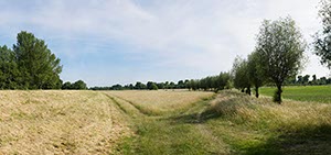 %_tempFileNameFlittard%20Graswege%20Wiesen%