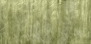 %_tempFileNameFloral%20Wischtechnikocker%