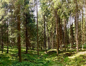 %_tempFileNameFoeckinghausen%