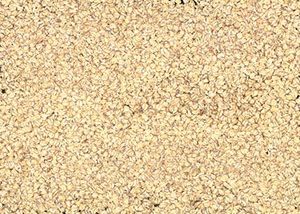 %_tempFileNameHAFERFLOCKEN%