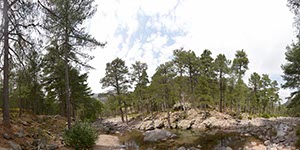 %_tempFileNameHaut_Asco_7%