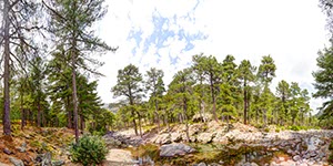 %_tempFileNameHaut_Asco_7_fU%