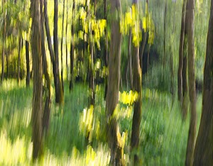 %_tempFileNameHilbringse%205%