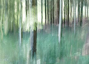 %_tempFileNameHilbringse%20Wald%201%