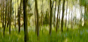 %_tempFileNameHilbringse%20wald%2011%