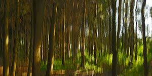 %_tempFileNameHilbringse%20wald%2014%