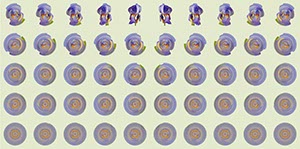 %_tempFileNameIris%2002%