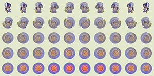 %_tempFileNameIris%2003a%