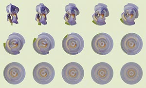 %_tempFileNameIris%2004%