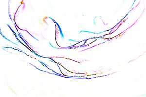 %_tempFileNameLinienwelle%