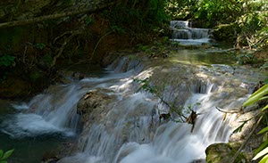 %_tempFileNameNicho_wasserfall%