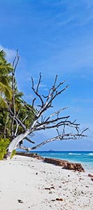 %_tempFileNamePano_01_02%