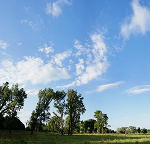 %_tempFileNameRhein%20Riehler%20Aue%