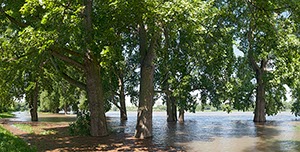 %_tempFileNameRheinhochwasser%20Koeln%20Muelheim%201%