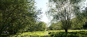 %_tempFileNameRheinweg%202%