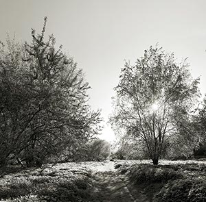 %_tempFileNameRheinweg%203%20sepia%