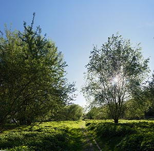 %_tempFileNameRheinweg%203%