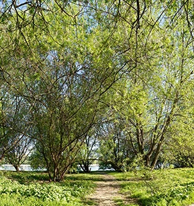 %_tempFileNameRheinweg%