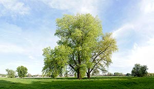 %_tempFileNameRiehler%20Aue%206%