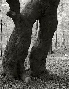 %_tempFileNameRieseRIesig%