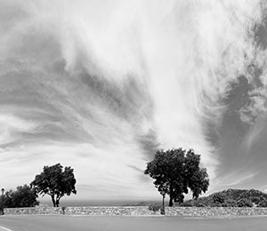 %_tempFileNameSW_mauer_mit_baum%